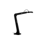 AVerVision M5