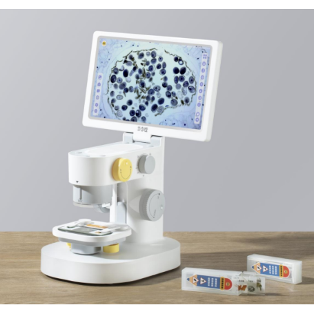 Microscopio Digitale LCD Touch Screen BeaverLAB  MX