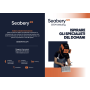 Seabery welding simulator Soldamatic STEM