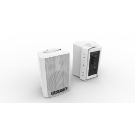EMPIRE Wall 300 U - Speaker wireless UHF